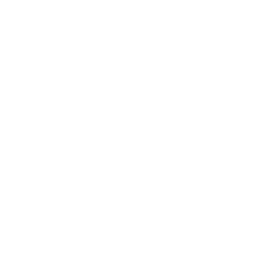 ce logo Bossier City